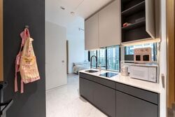 Cairnhill 16 (D9), Apartment #632454481